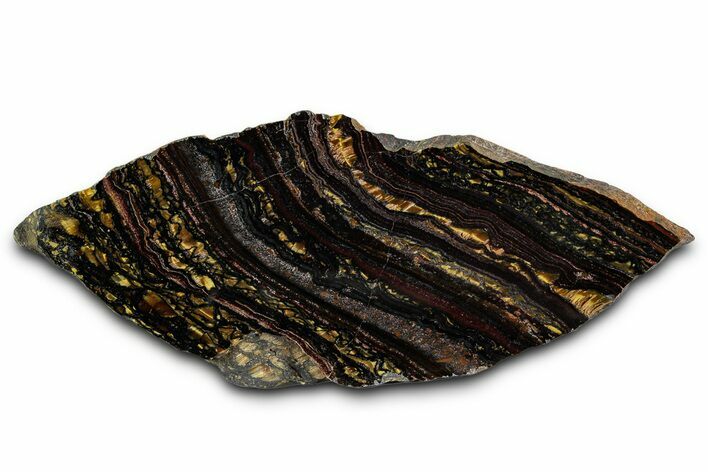 Polished Tiger Iron Stromatolite Slab - Billion Years #353228